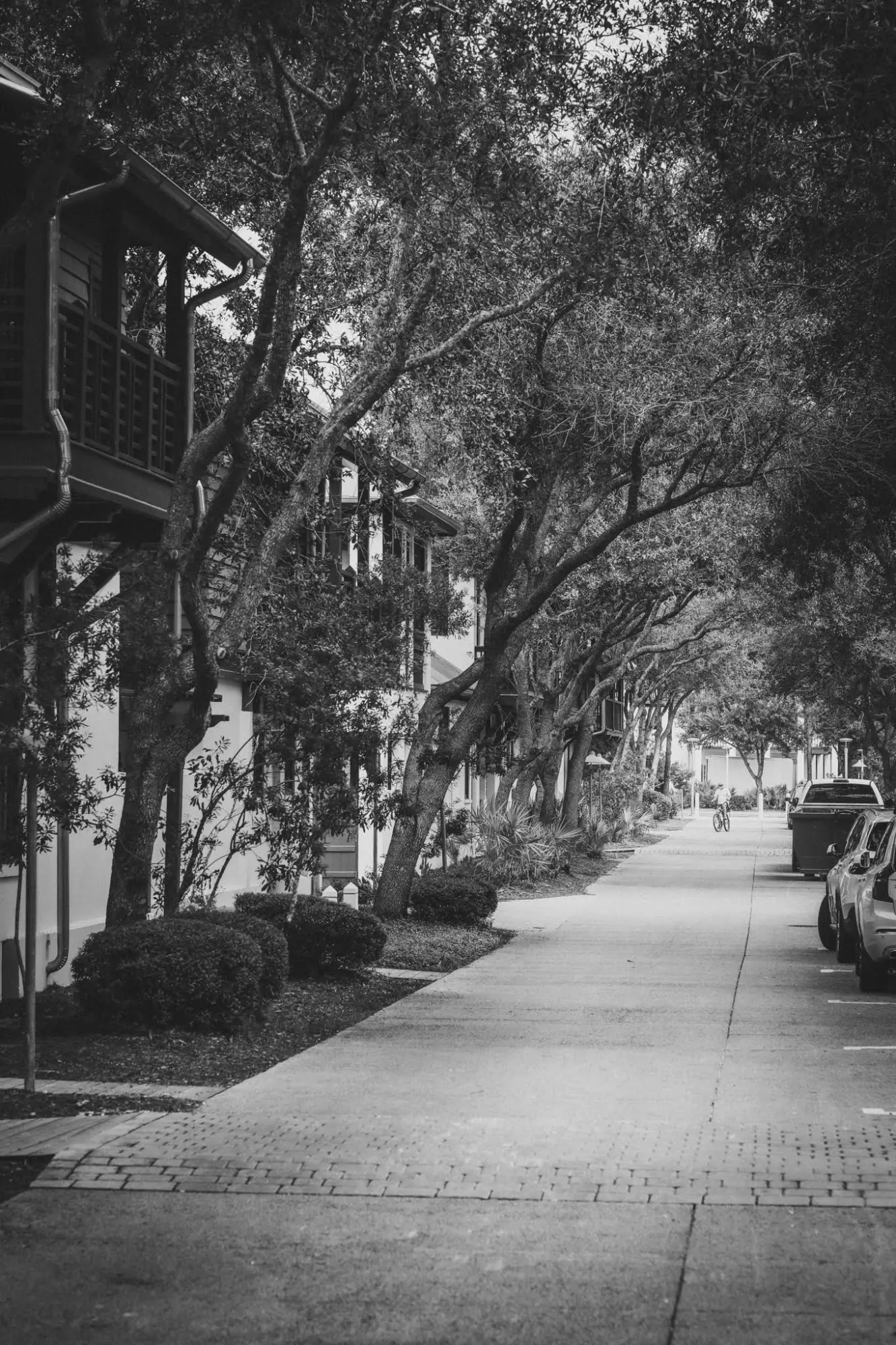 Oak-lined sidewalk beside a two-story house on 30A